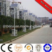 Top Sale China 30W 40W 60W 80W 100W LED Lamp Lights Price Outdoor Solar Street Light